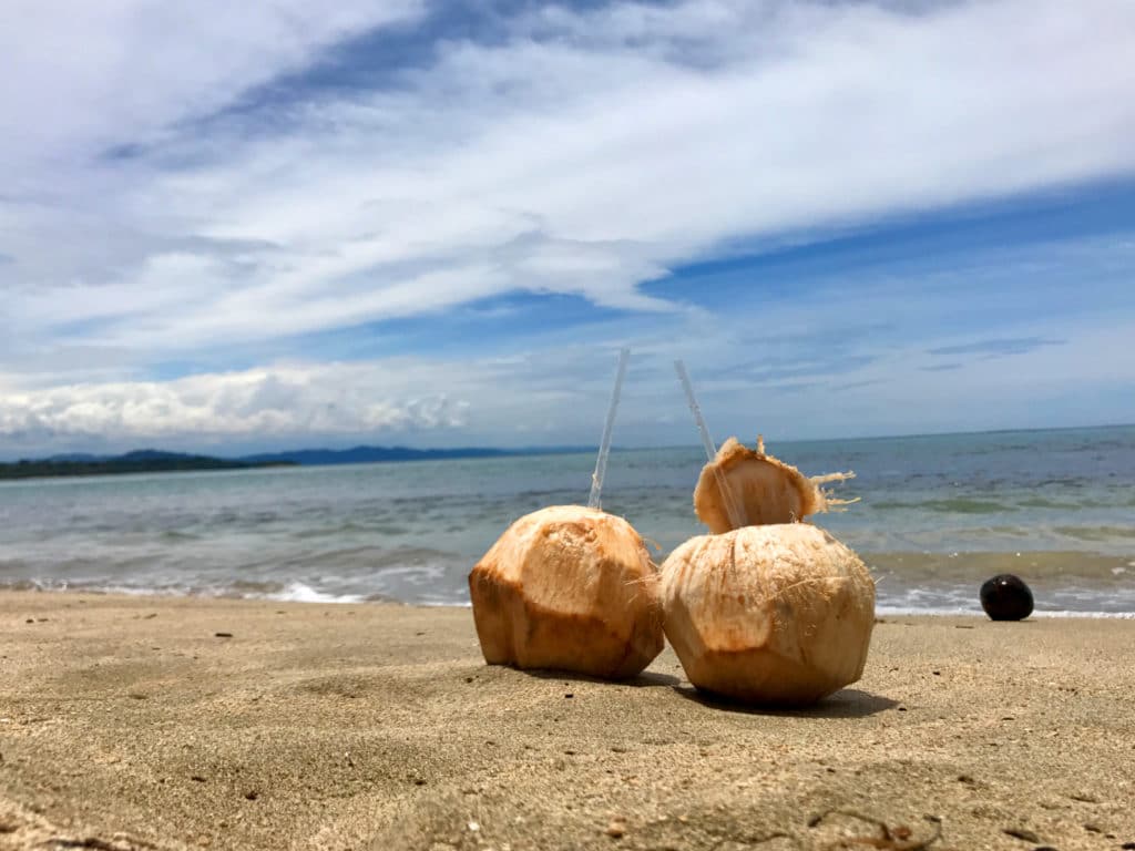 Strand Kokosnuss