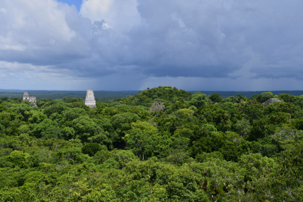 Tikal