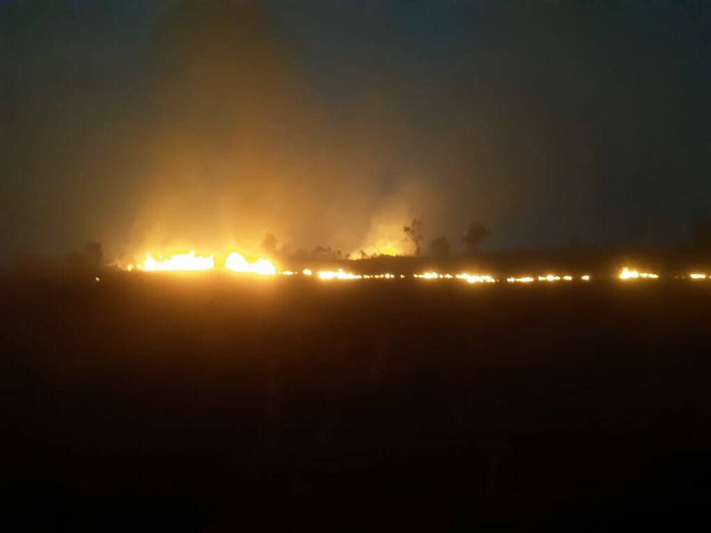 Waldbrände Amazonas