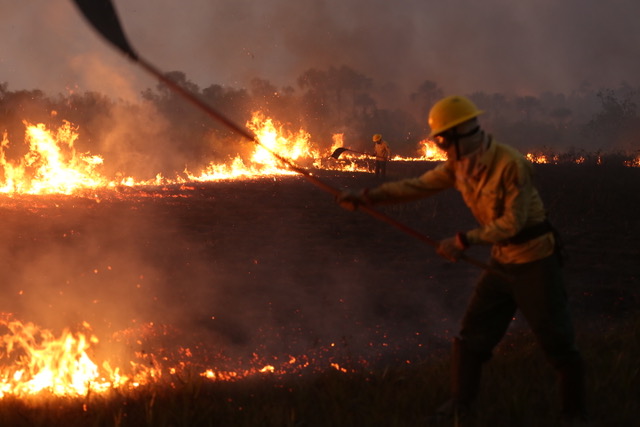 Amazonas Waldbrand