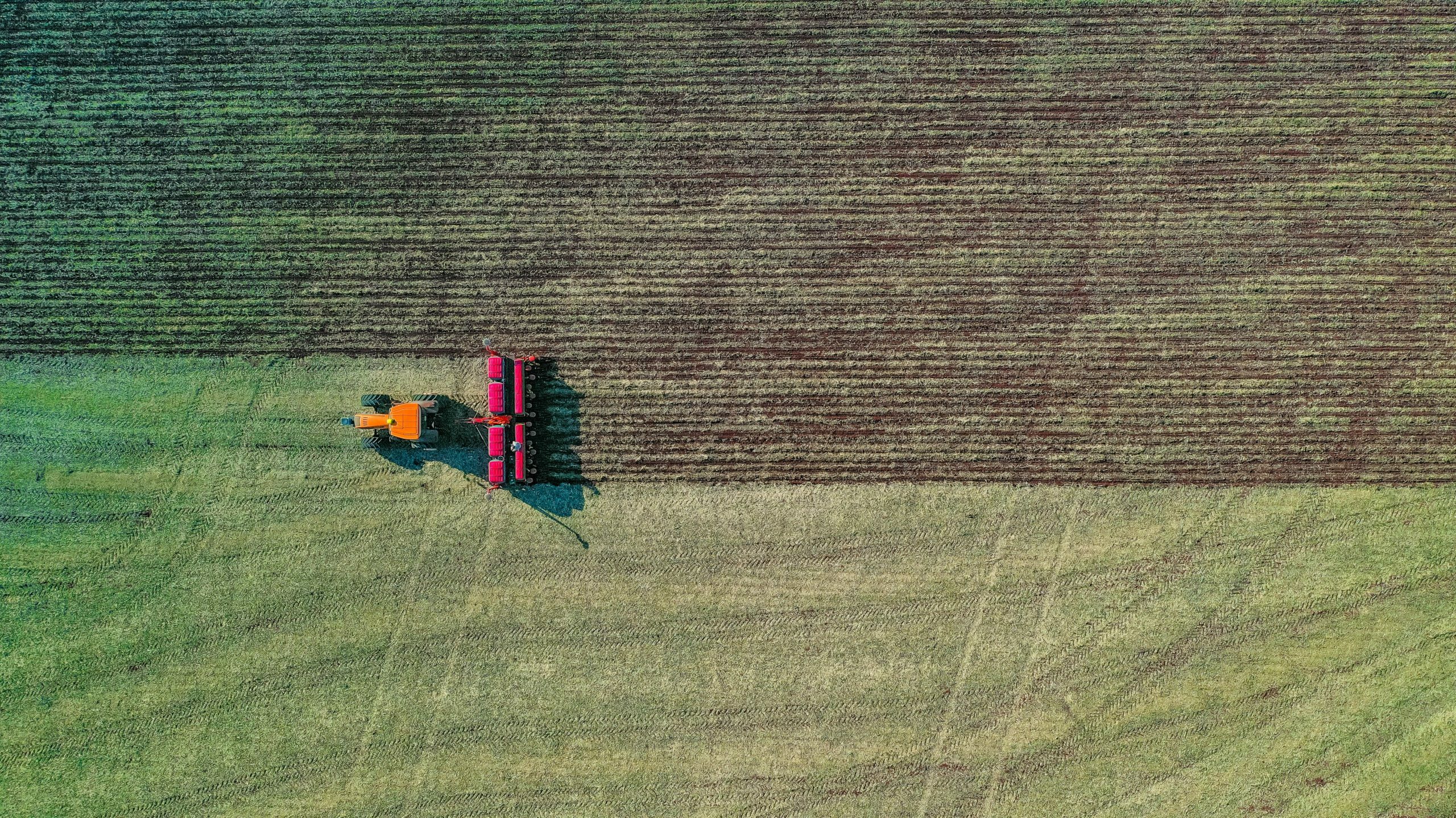 Für die Fleischproduktion werden große Landflächen benötigt. Nicht nur für die Viehhaltung selbst, sondern insbesondere für Tierfutter. © Sergio Souza/Pexels