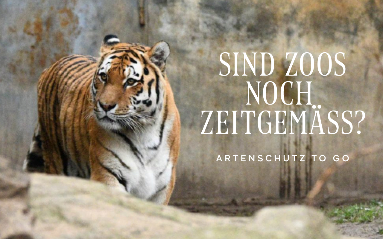 helmutk – Meine Spaziergänge durch Zoos