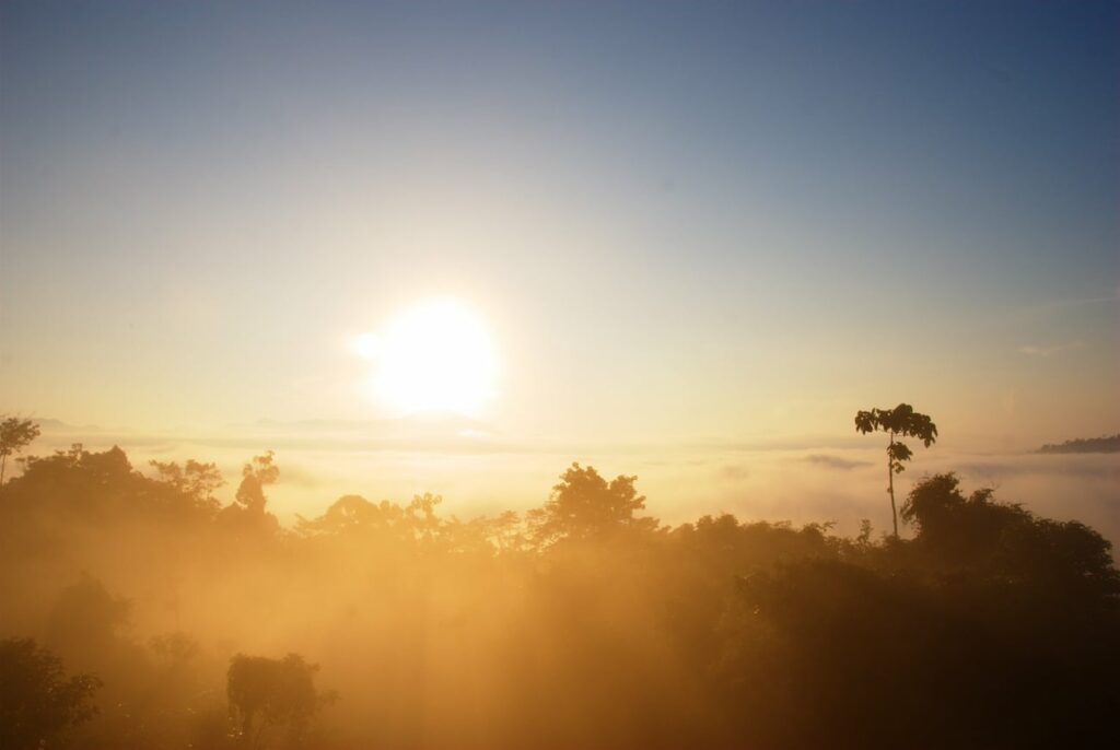 Sonnenaufgang Dschungel