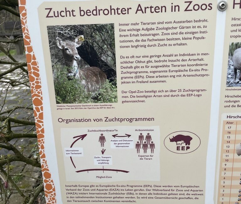 Zoo Info Tafel Artenschutz