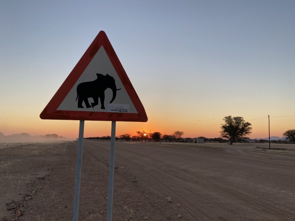 Serie Hannah goes wild Namibia Elefanten