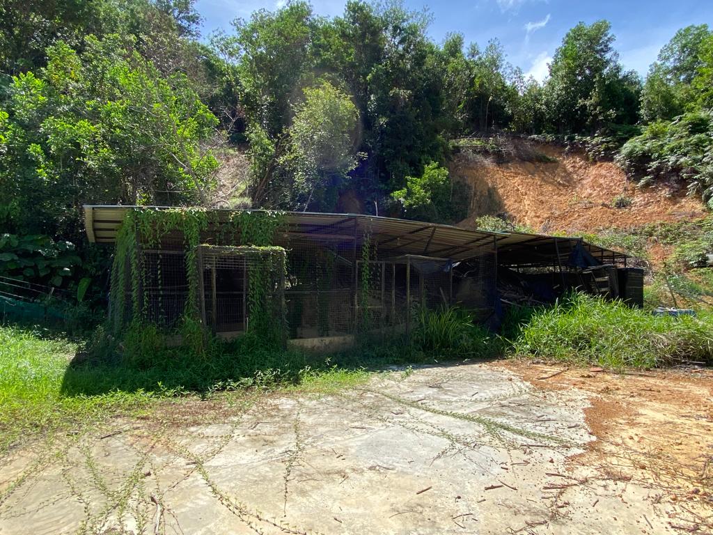 Potuki Rescue Centre in Lok Kawi