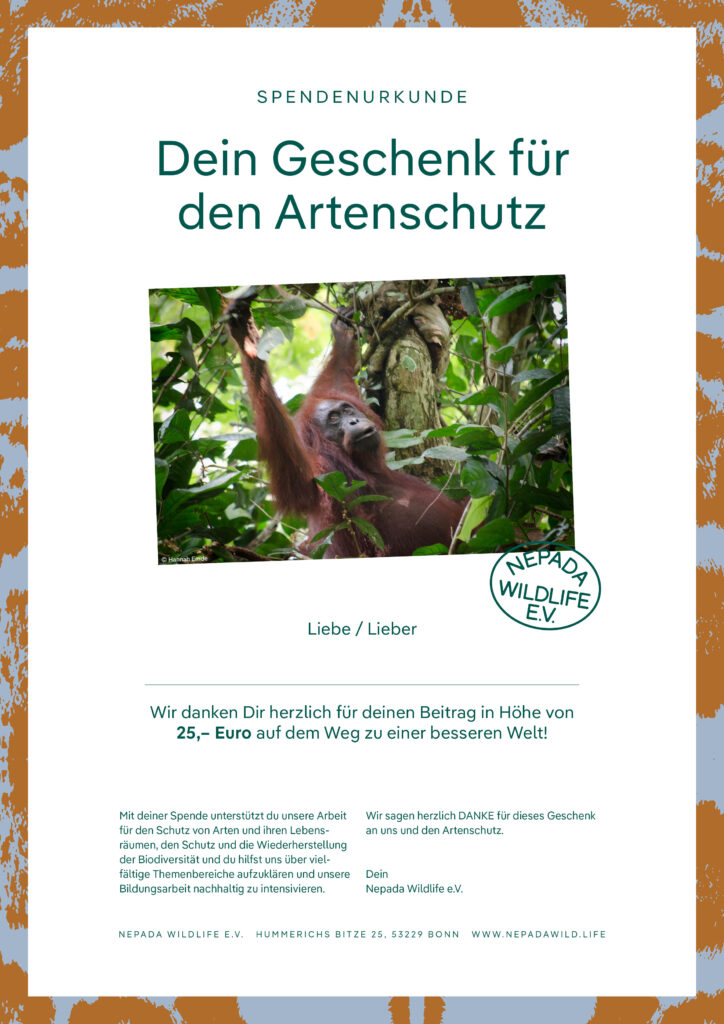 Spendenurkunde 25 Euro